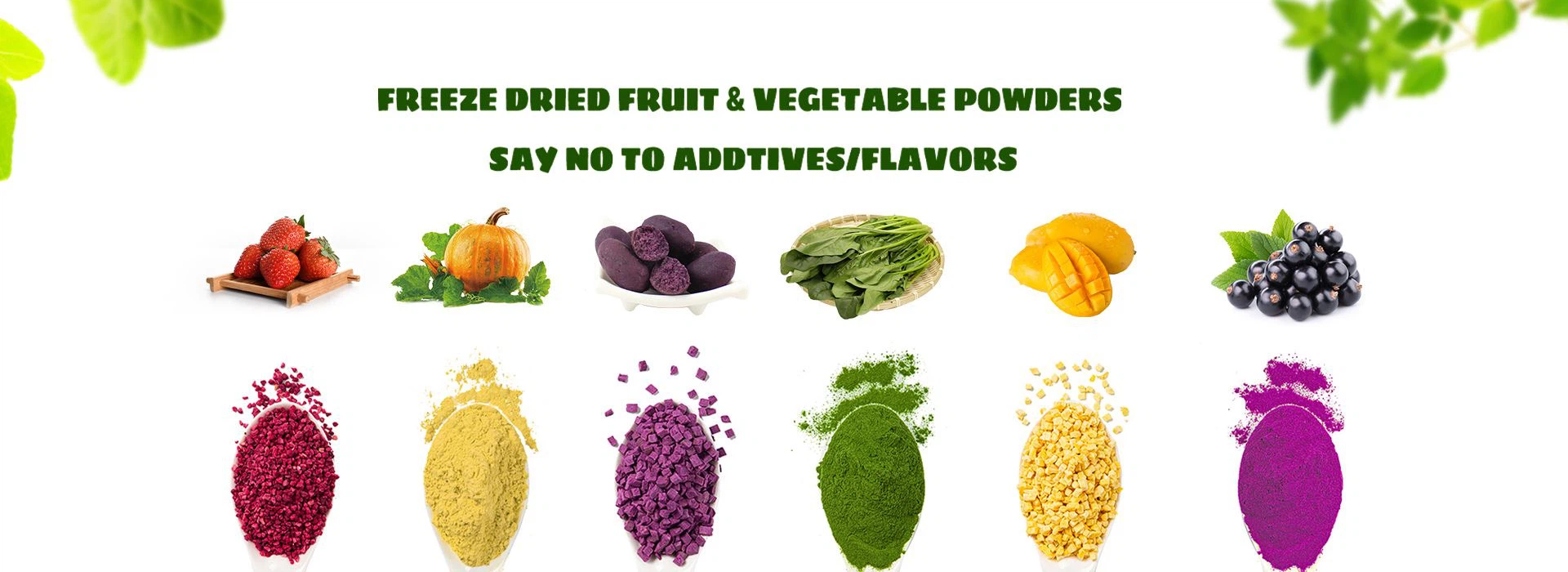 fruit and vegetable powder