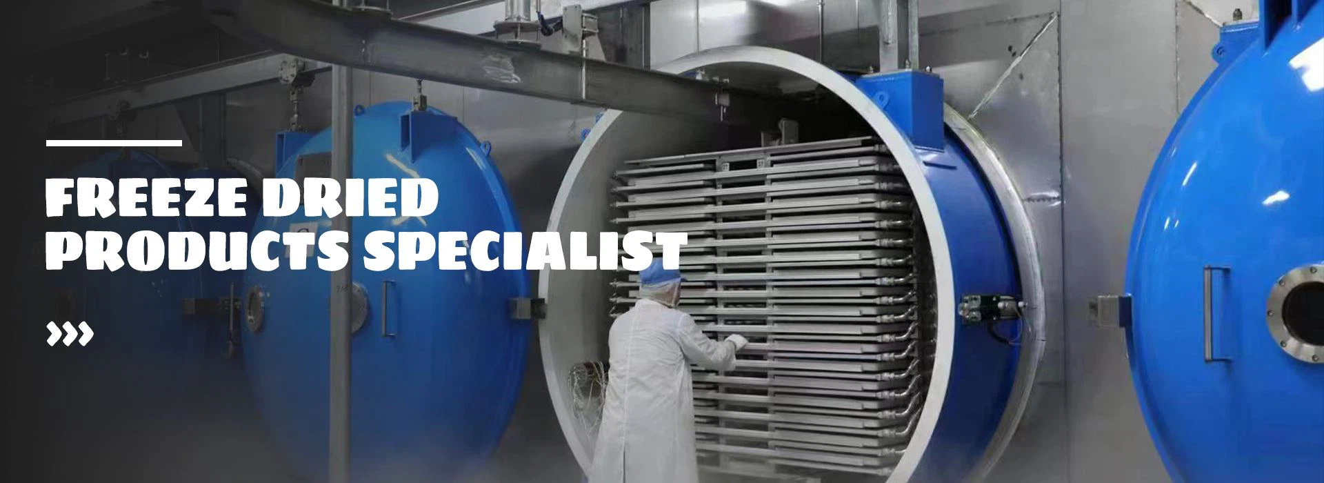 freeze-dried fruit powder process