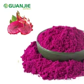 Dragon Fruit gevriesdroogd poeder
