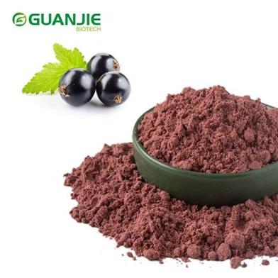 Gevriesdroogd zwarte bessenpoeder